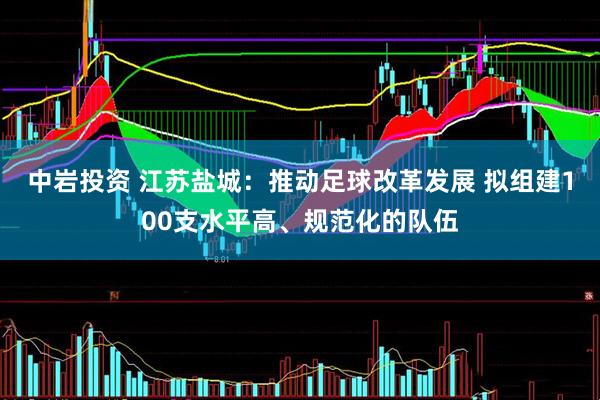 中岩投资 江苏盐城：推动足球改革发展 拟组建100支水平高、规范化的队伍