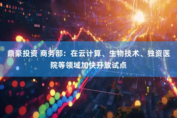 鼎豪投资 商务部：在云计算、生物技术、独资医院等领域加快开放试点