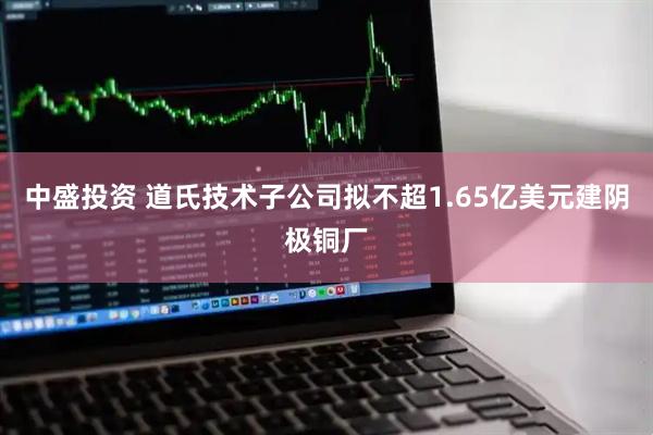 中盛投资 道氏技术子公司拟不超1.65亿美元建阴极铜厂