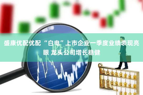 盛康优配优配 “白电”上市企业一季度业绩表现亮眼 龙头公司增长稳健