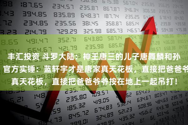 丰汇投资 斗罗大陆：神王唐三的儿子唐舞麟和孙子蓝轩宇究竟谁更强？官方实锤：蓝轩宇才是唐家真天花板，直接把爸爸爷爷按在地上一起吊打！